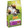 Friskies suché krmivo pre psov s hovädzím mäsom 10 kg