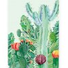 Fototapeta - PL1279 - Jašterica a kaktusy Vliesová fototap. - 206cm x 275cm