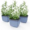 Gusta Garden HERBS BUDDY samozavlažovací box antracitový, 3ks v balení GG-123F11