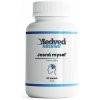 Medveď natural Jasná myseľ 1.0 30 kapsúl