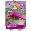 Mattel BRB MINI HERNÝ SET S MAZNÁČIKOM ASST