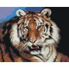 ZUTY Maľovanie podľa čísel - TIGER PORTRÉT (D. RUSTY RUST) Rámovanie: vypnuté plátno na rám, Rozmer: 80x100 cm