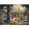 SCHMIDT Puzzle Šípková Ruženka 1000 dielikov
