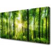 Obraz na plátne Les príroda 100x50 cm