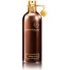 Montale Paris Aoud Musk EDP 100 ml (unisex)