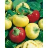Alma paprika jabĺčková na pole, štipľavá