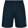 Pánske šortky Butterfly Shorts Kushiro Navy M