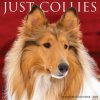 Collies 12 X 12 Wall 2026