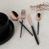 Berlinger Haus mirror Black Rose Collection 24 ks