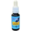 Energie Rostlin Bachove esencie - Na nočné strachy 20 ml