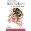 Pocket Guide to the Bumblebees of Great Britain and Ireland