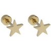 Doria Piercing do ucha z ocele zlatý HVIEZDA D117