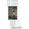The Light Room - Kate Zambreno