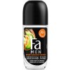 Fa Men Sport Double Power Power Boost roll-on 50 ml