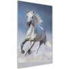 Vertikálny foto obraz sklenený Biely kôň cval 50x100 cm