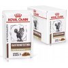 Vlhké krmivo pre mačky Royal Canin vrecúško 12x85 g mix chutí proti srsti