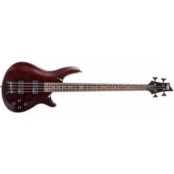 Schecter SGR C-4