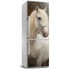 Nálepka fototapeta chladnička Biely kôň XL 60x180 cm