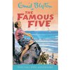 Famous Five: Five Fall Into Adventure (Blyton Enid)