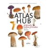 Atlas hub - Marta Knauerová