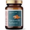 Health Link Lipozomálny Kurkumín 60 kapsúl
