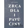 Zrcadla a pavučiny - Jan Gabriel
