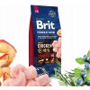 Brit Premium by Nature Junior L 15 kg