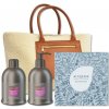 Alter Ego Chrom Ego Silver Maintain Vánoční Set - Šampon 300 ml + kondicionér 300 ml Dárková sada