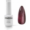Vanedia - magnetický gél lak (cat eye), I2 8 ml.