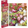 Grafix Diamantové maľovanie Sýkorka na vetve 30 x 30 cm