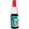 Zelená země konopný olej obohacený o CBD (10 % hm.) - 10 ml Unikátní doplněk stravy, který podporuje obranyschopnost a blahodárně působí na přirozené procesy zvířecího těla.