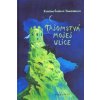 Tajomstvá mojej ulice - Kristína Šudová-Tomčániová