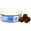 THE BIG ONE HOOK BAIT WAFTERS BOILIE