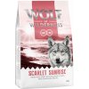 Wolf of Wilderness 