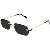 Cartier CT0498S 001