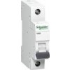 Schneider Electric Istič K60N 6kA 6B/1