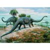 Dino Puzzle 1000 Diplodocus