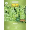 Špenát Matador FloraSelf 20 g