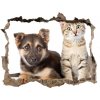 Fototapeta díra na zeď 3D Pes a mačka 95x64 cm