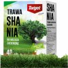 Tráva do tienistých miest SHANIA 1 kg TARGET