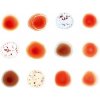 Peter Gabriel: Scratch My Back / And I'll Scratch Yours - 2CD