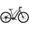 TREK Dual Sport+ 2 Stagger L Galactic Grey - L