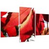Obraz červených listov (Obraz 90x60cm)