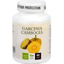 Natural Medicaments Garcinia Cambogia 90 kapsúl
