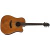 Takamine GD20CE-NS