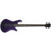 Spector NS Ethos HP 4