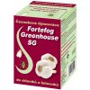 AGROCHEMA Česneková dýmovnice Fortefog Greenhouse SG 90g