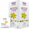 HERBEX Mozog a pamäť bylinný čaj 20 vreciek