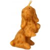 Sviečka z včelieho vosku pes kokeršpaniel - Pleva, výška 8,5 cm