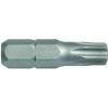 bit nástavec TORX 30 25mm S2 (10ks)